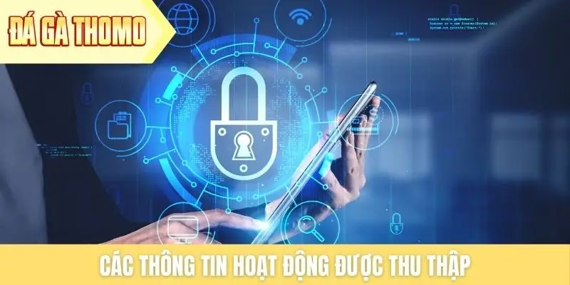 Các thông tin hoạt động được thu thập Các thông tin hoạt động được thu thập