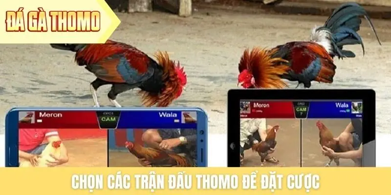 Chọn các trận đấu Thomo để đặt cược