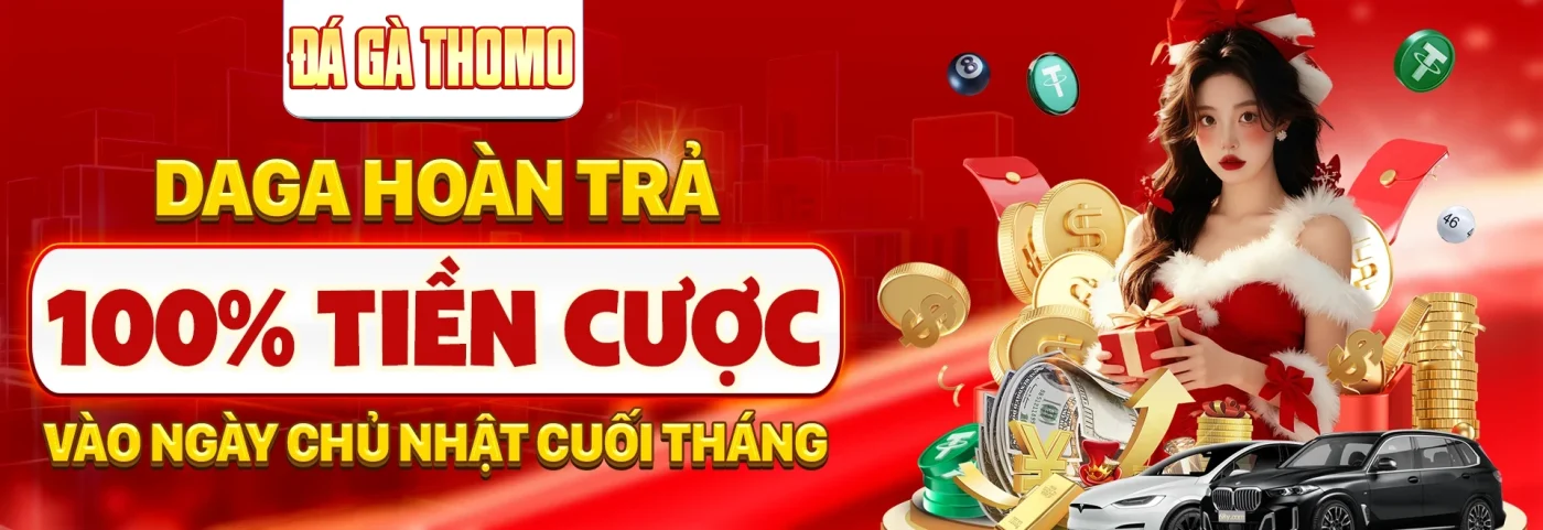 banner đá gà thomo