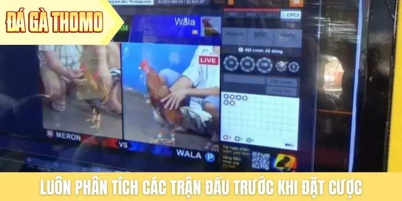 Luôn phân tích các trận đấu trước khi đặt cược Luôn phân tích các trận đấu trước khi đặt cược