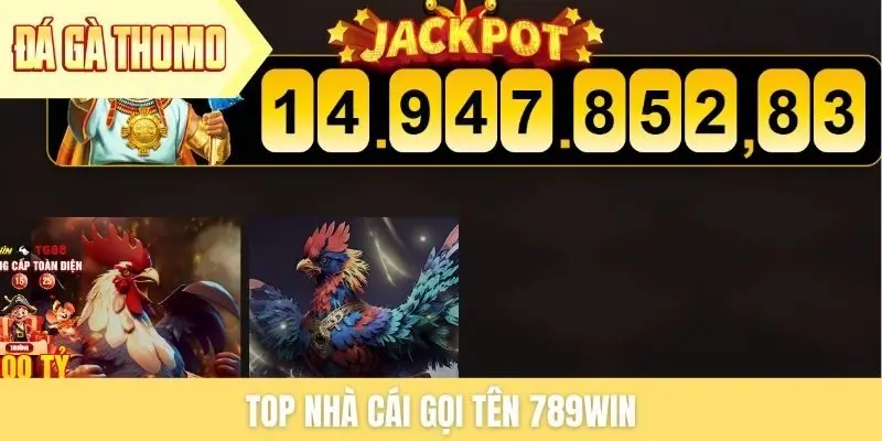 Top nhà cái gọi tên 789win Top nhà cái gọi tên 789win