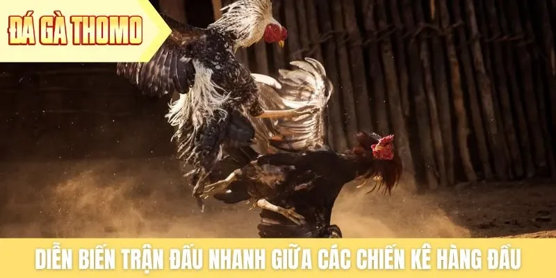 Diễn biến trận đấu nhanh giữa các chiến kê hàng đầu