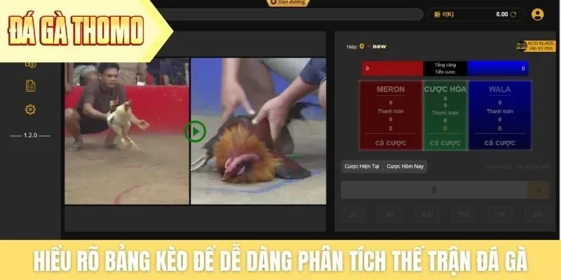 Hiểu rõ bảng kèo để dễ dàng phân tích thế trận đá gà Hiểu rõ bảng kèo để dễ dàng phân tích thế trận đá gà