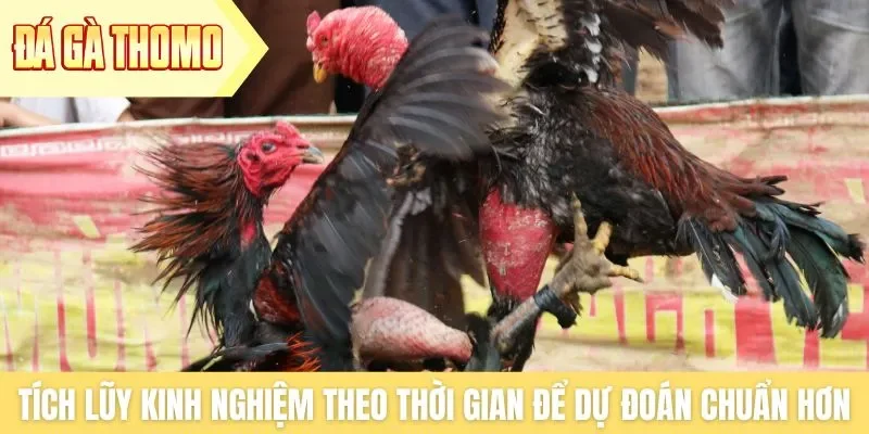 Tích lũy kinh nghiệm theo thời gian để dự đoán chuẩn hơn Tích lũy kinh nghiệm theo thời gian để dự đoán chuẩn hơn