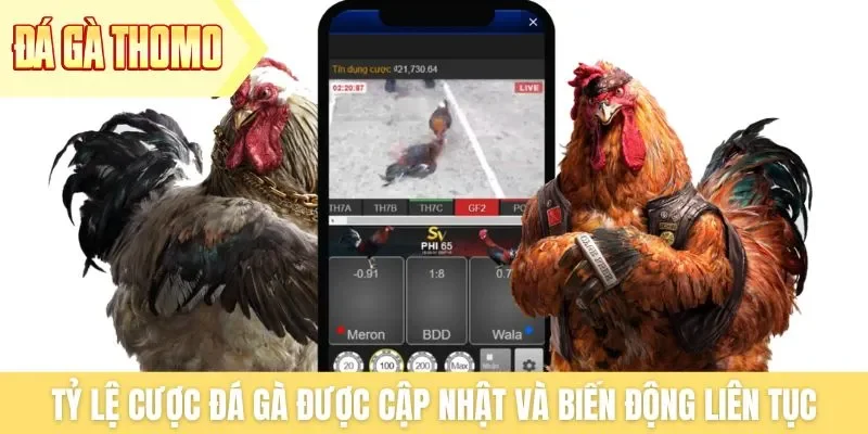 Tỷ lệ cược đá gà được cập nhật và biến động liên tục Tỷ lệ cược đá gà được cập nhật và biến động liên tục