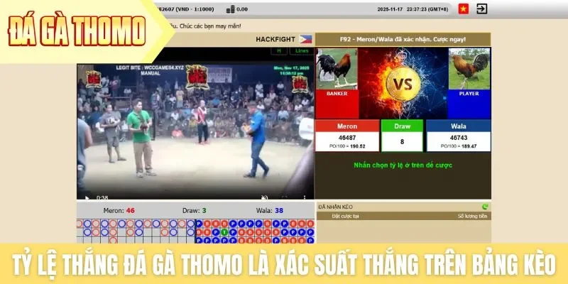 Tỷ lệ thắng đá gà Thomo là xác suất chiến thắng trên bảng kèo Tỷ lệ thắng đá gà Thomo là xác suất chiến thắng trên bảng kèo